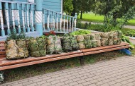 Помощь СВО